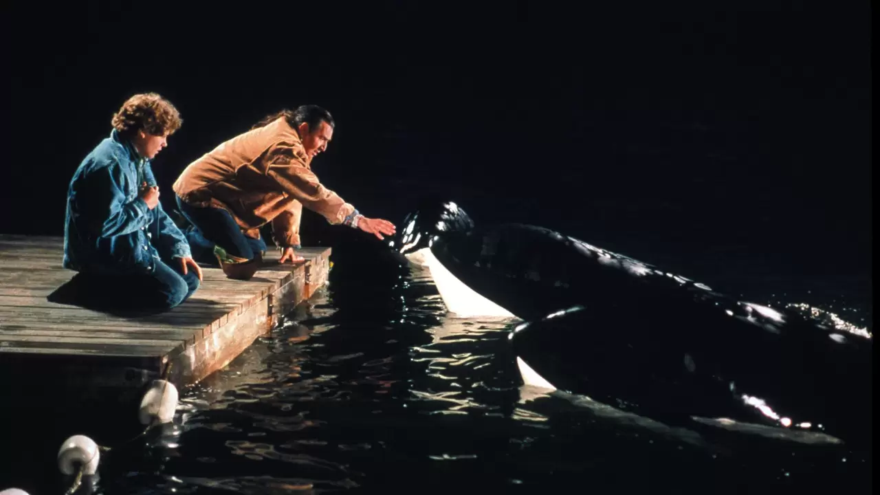 Free Willy 2: The Adventure Home Backdrop