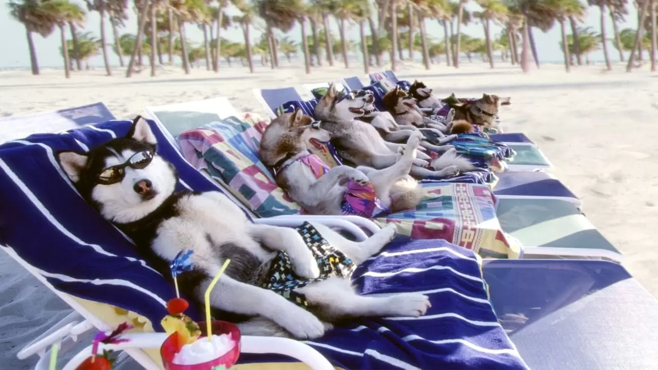 Snow Dogs Backdrop