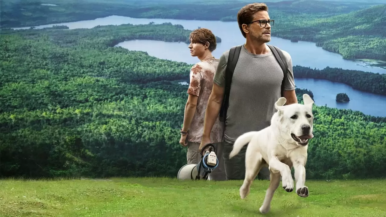 Dog Gone Backdrop