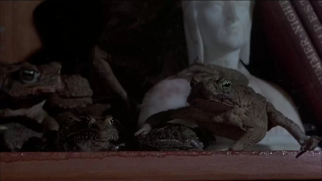Frogs Backdrop