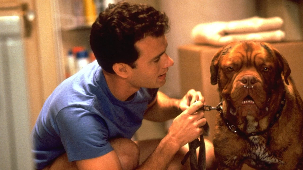 Turner & Hooch Backdrop