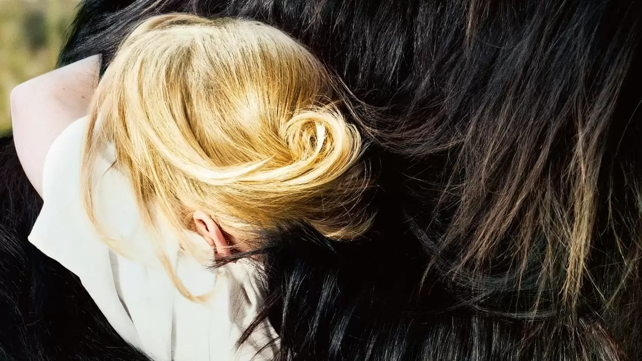 Toni Erdmann Backdrop