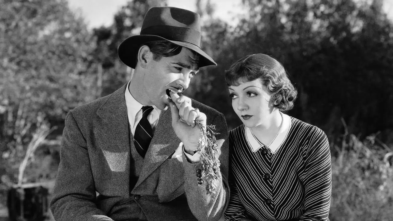 It Happened One Night Backdrop