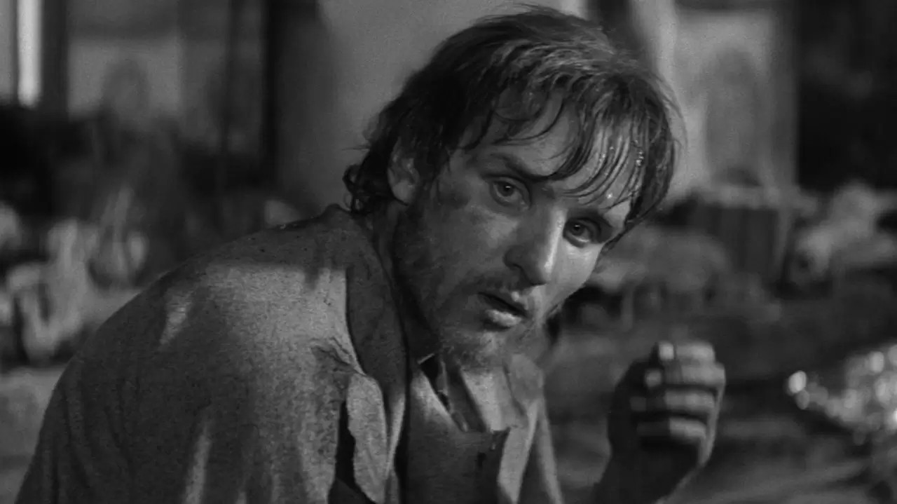 Andrei Rublev Backdrop