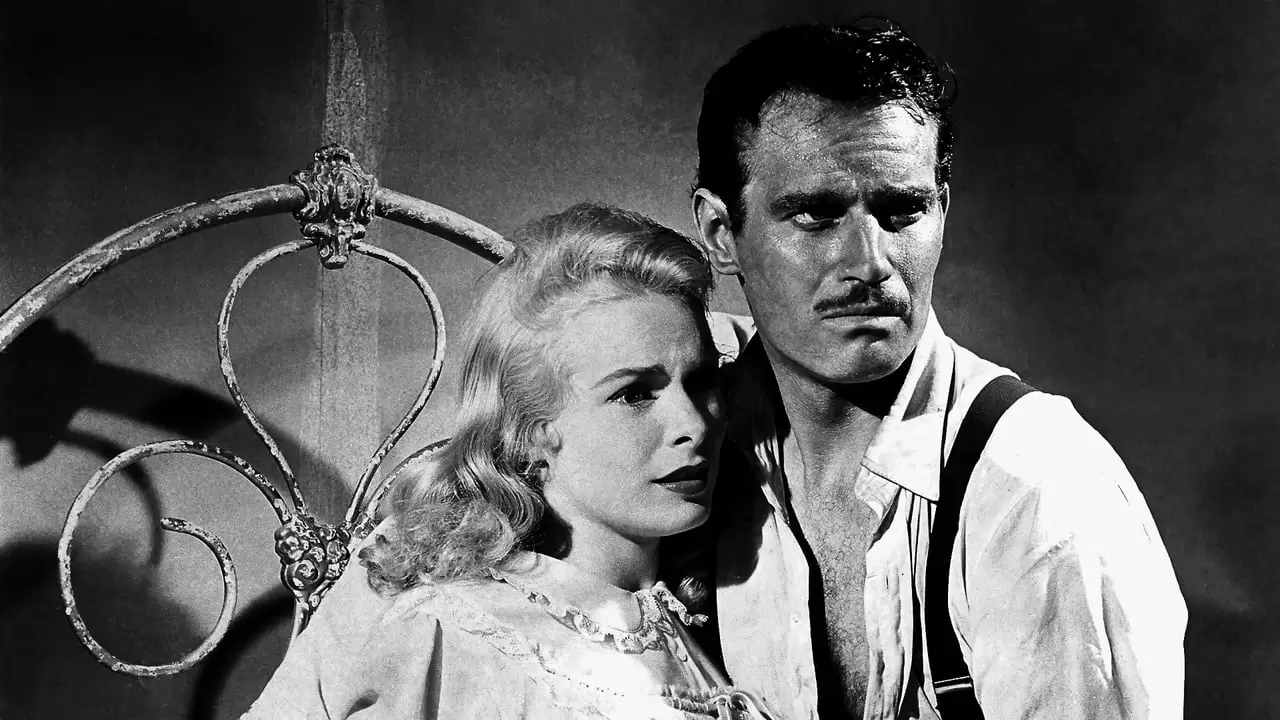 Touch of Evil Backdrop