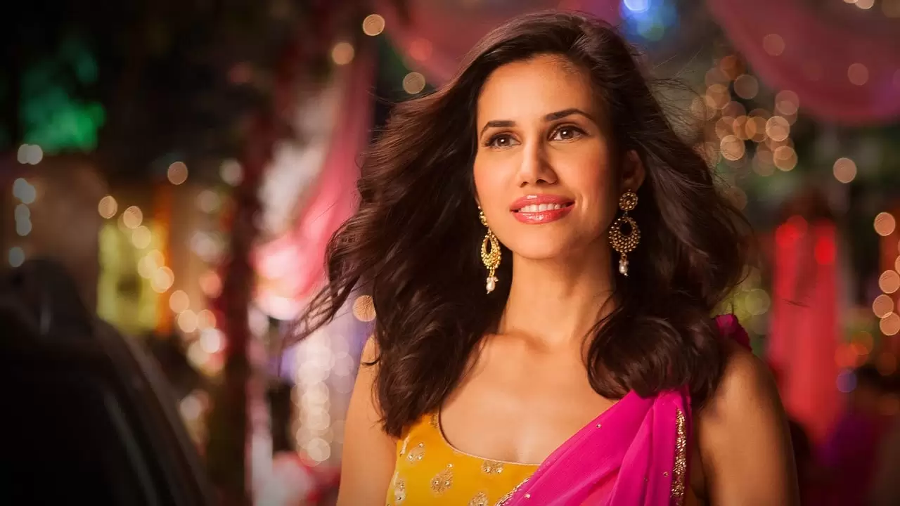 Pyaar Ka Punchnama 2 Backdrop