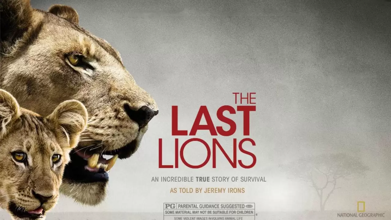 The Last Lions Backdrop