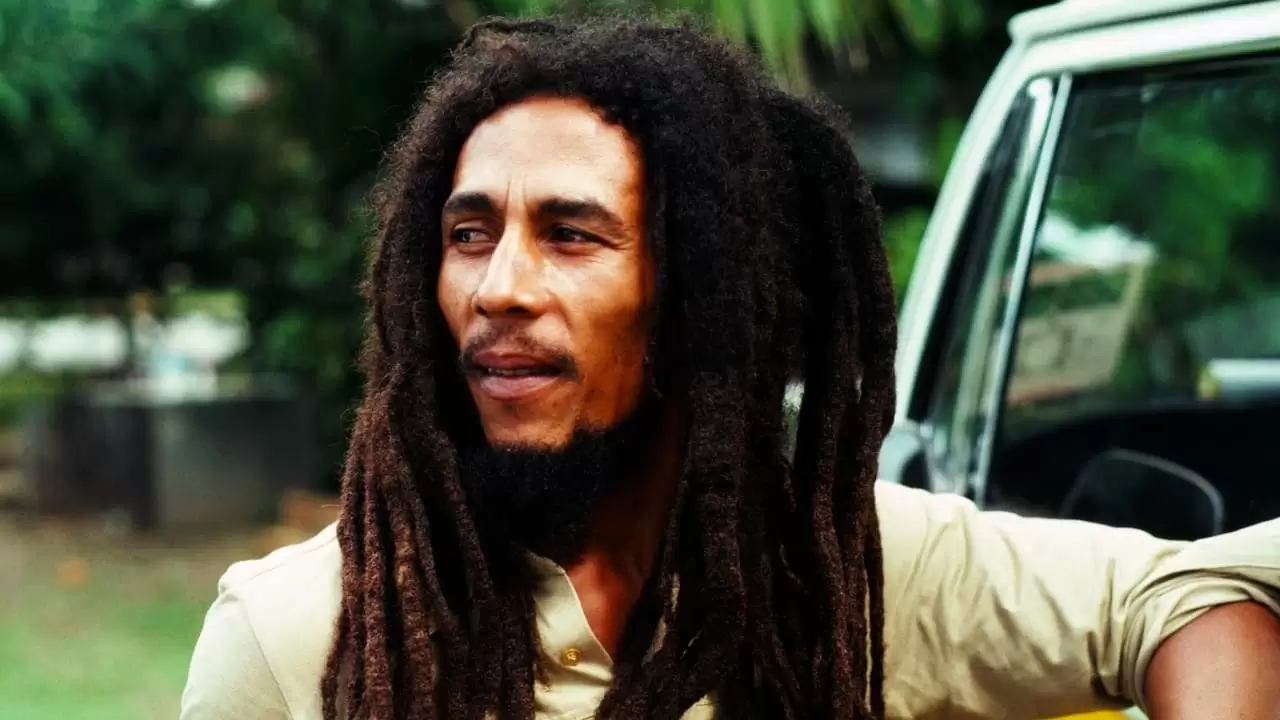 Marley Backdrop