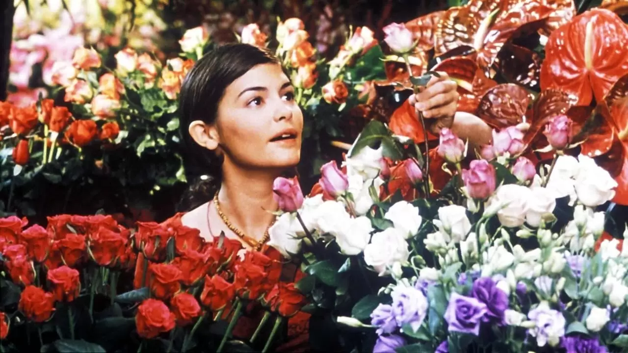 He Loves Me, He Loves Me Not Backdrop