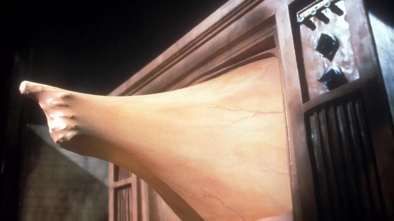 Videodrome Backdrop