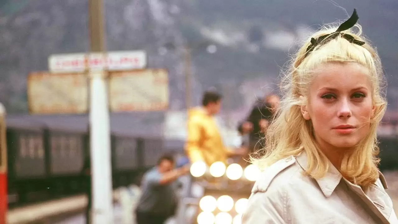 The Umbrellas of Cherbourg Backdrop