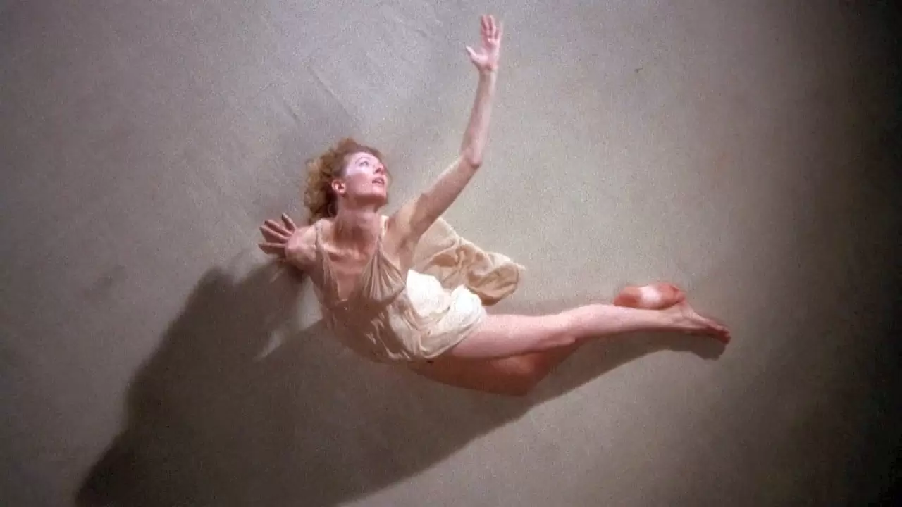 Isadora Backdrop