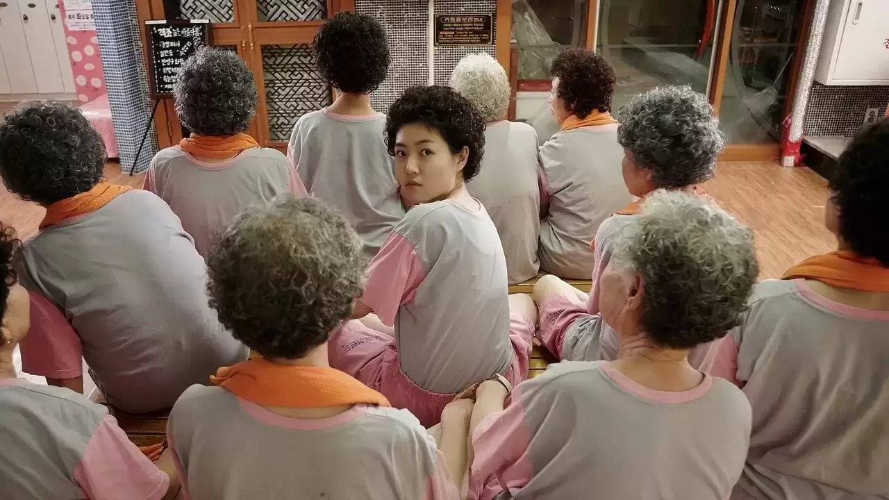 Miss Granny Backdrop