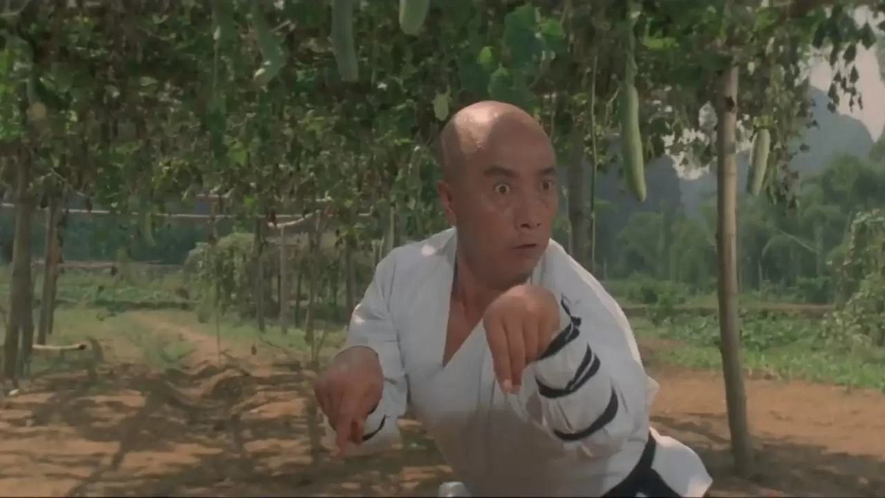 Martial Arts of Shaolin Backdrop