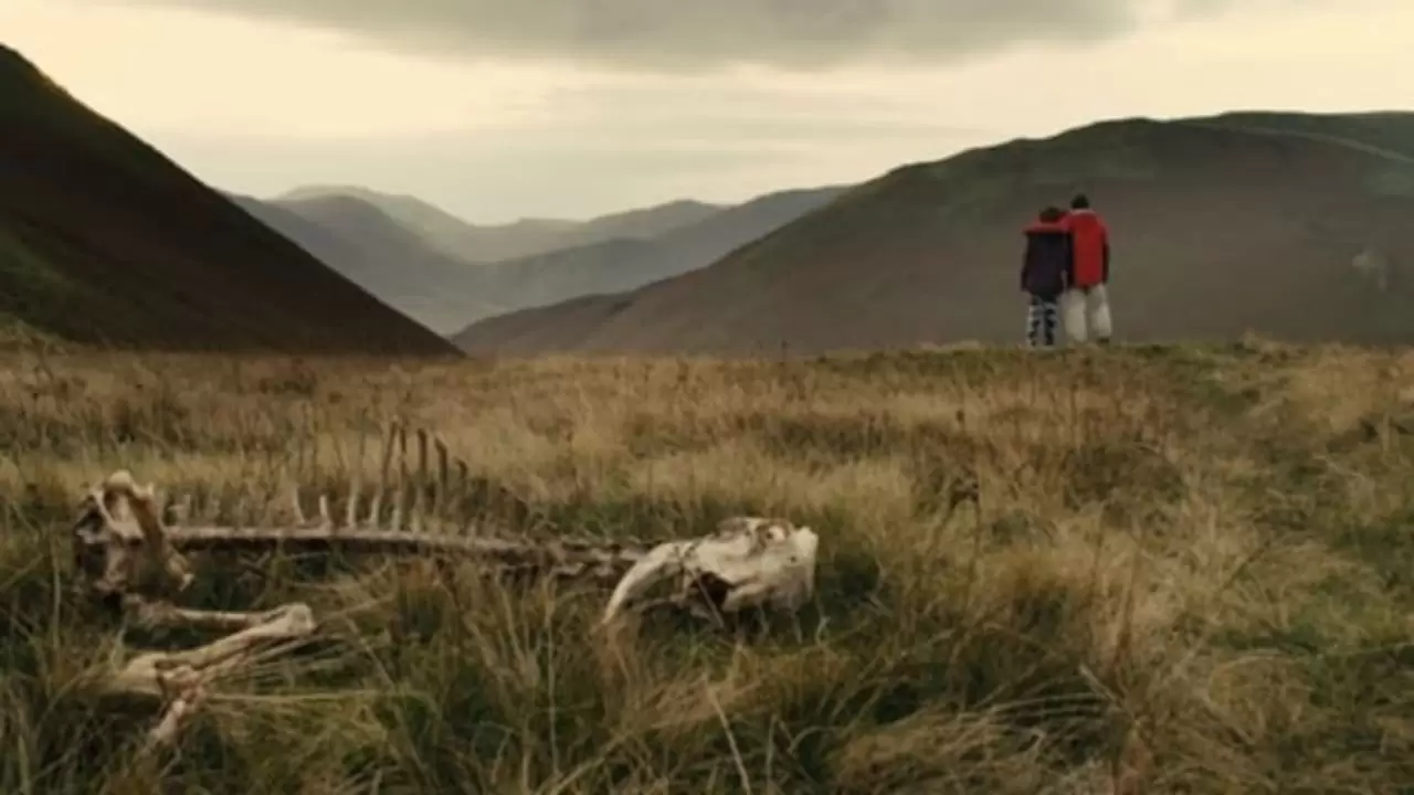 Sightseers Backdrop