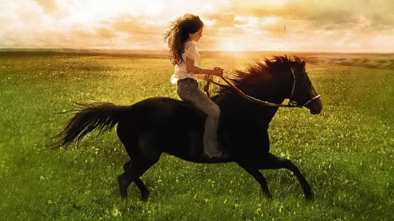 Flicka Backdrop