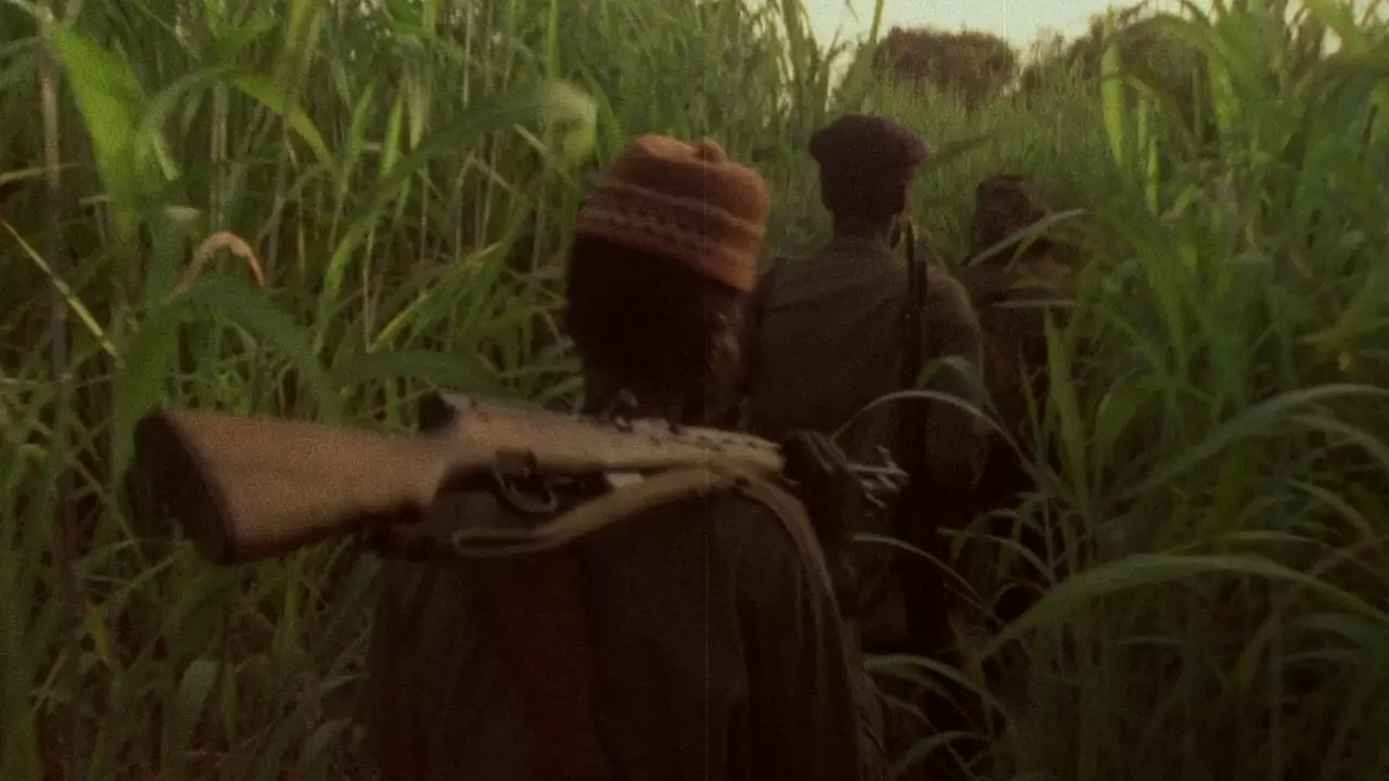 Concerning Violence Backdrop