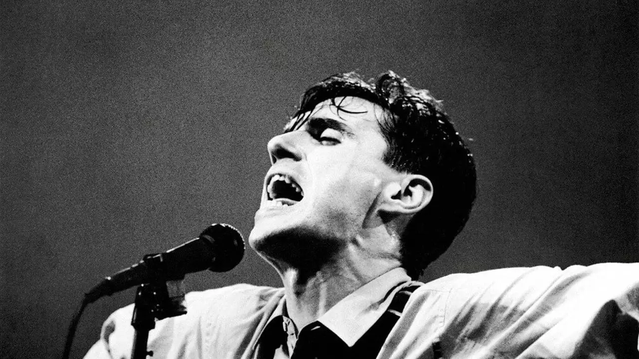 Stop Making Sense Backdrop