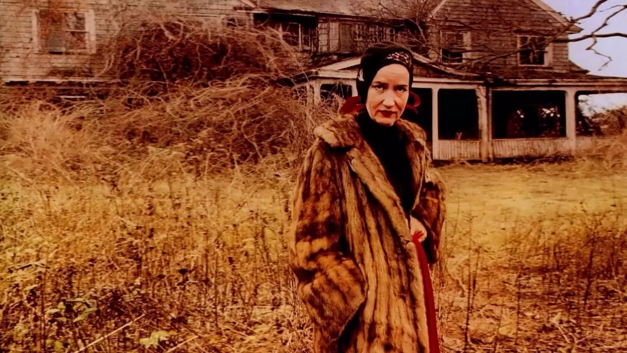Grey Gardens Backdrop