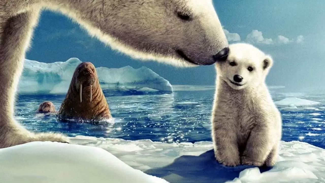 Arctic Tale Backdrop