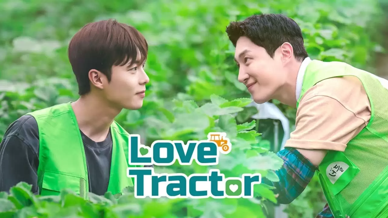 Love Tractor Backdrop