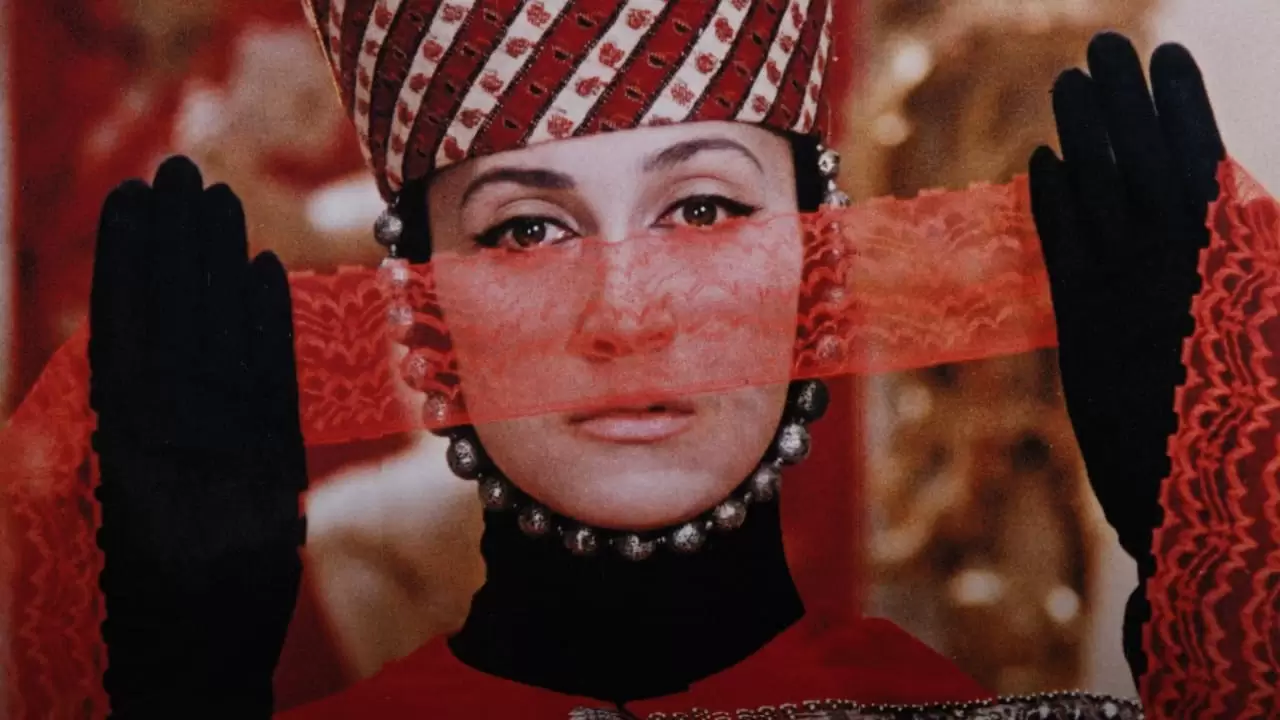 The Color of Pomegranates Backdrop