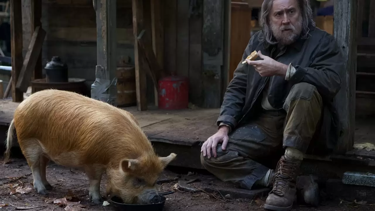 Pig Backdrop
