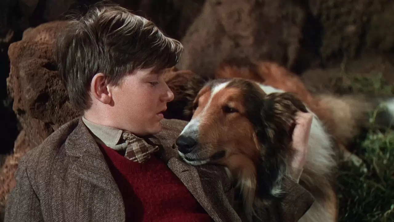 Lassie Come Home Backdrop