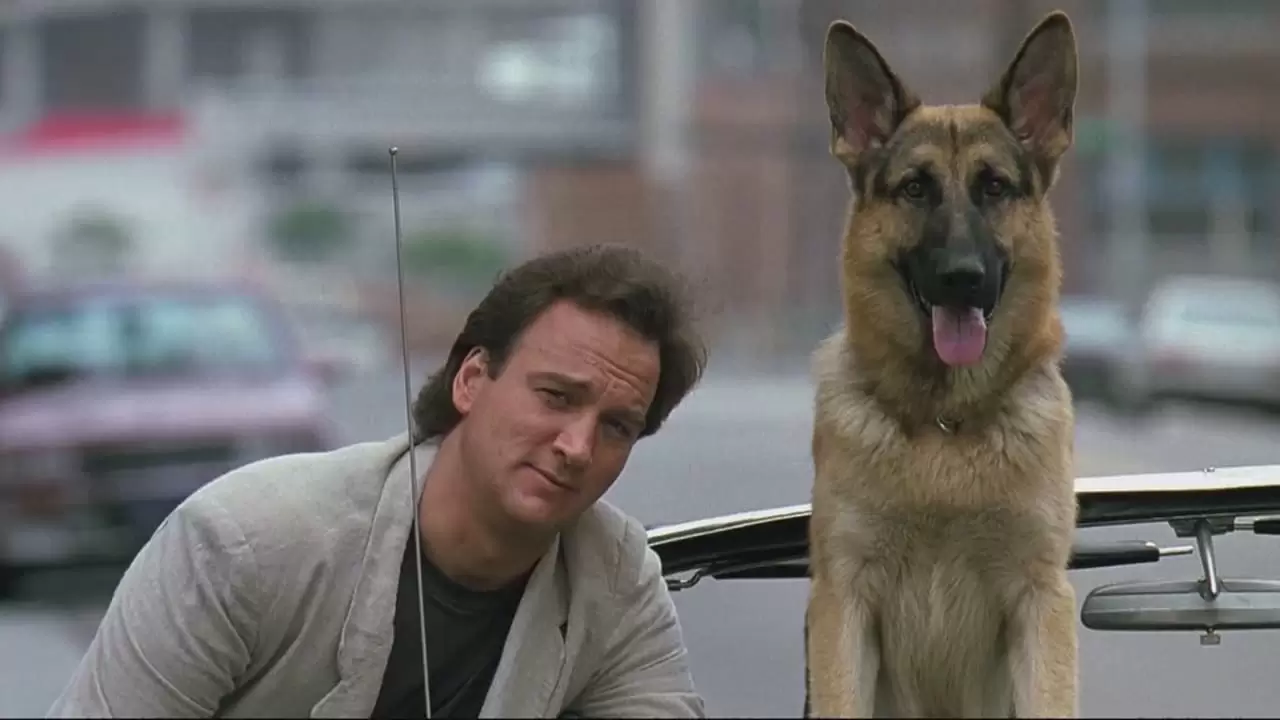 K-9 Backdrop