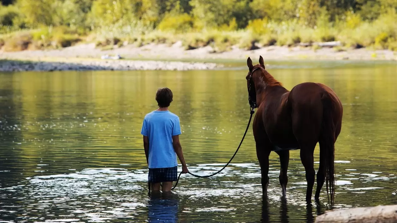 Lean on Pete Backdrop