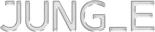 Jung_E Logo