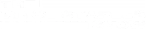 The Vince Staples Show Logo