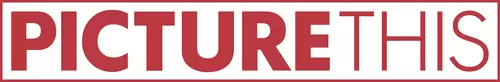 Picture This Logo