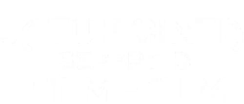 Falling in Love Like in Movies Logo