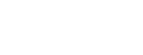 Winter Spring Summer or Fall Logo