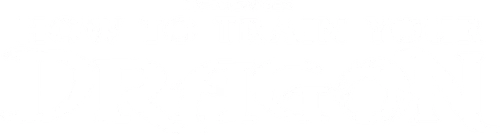 How to Train Your Dragon Logo