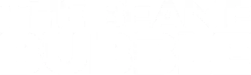 The Beanie Bubble Logo