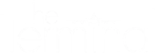 The Terminal Logo