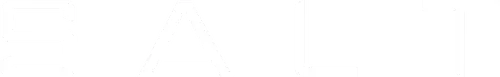 Salt Logo