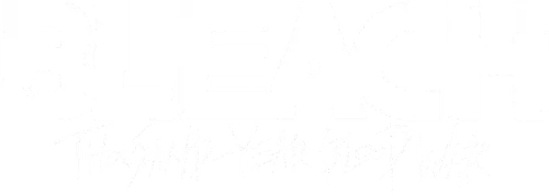 Bleach Logo