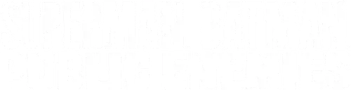 Superman/Batman: Public Enemies Logo