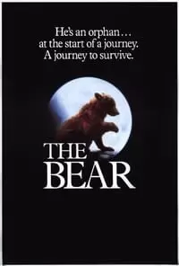 The Bear Poster