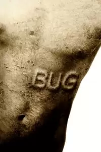 Bug Poster