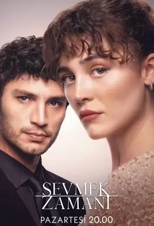 Sevmek Zamani Poster