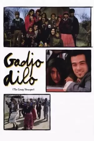 Gadjo dilo Poster
