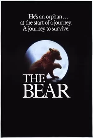 The Bear Poster