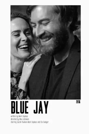 Blue Jay Poster
