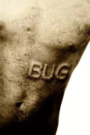 Bug Poster