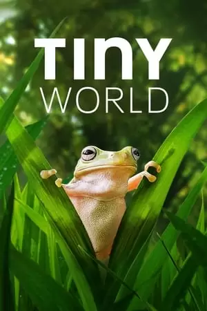 Tiny World Poster
