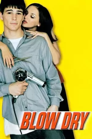 Blow Dry Poster